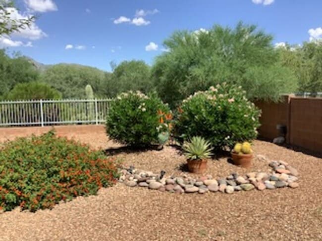 Building Photo - Sabino Canyon Furnished Vacation Home