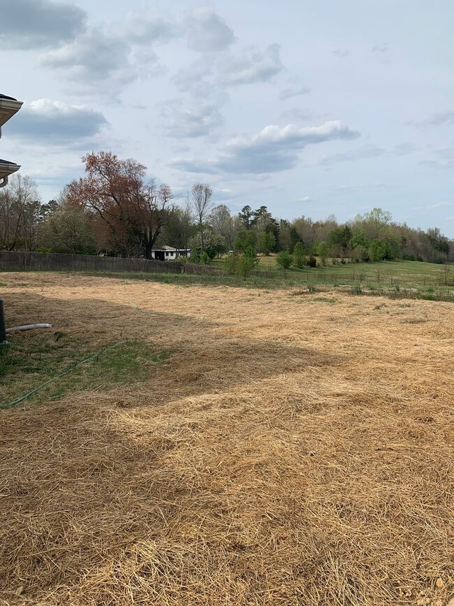 Building Photo - Country Living with City Convenience!