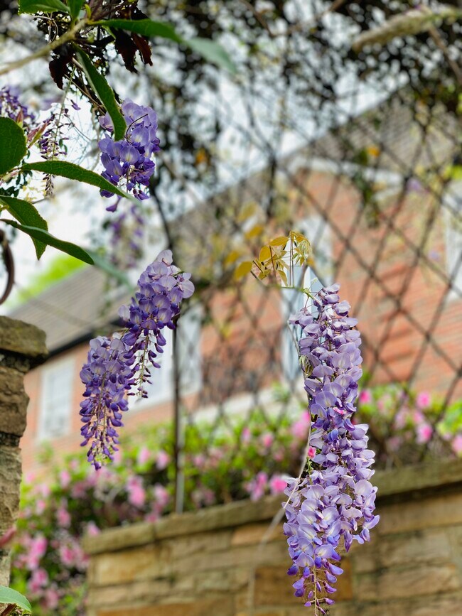 Entrance blooms - 2850 Fairway Dr