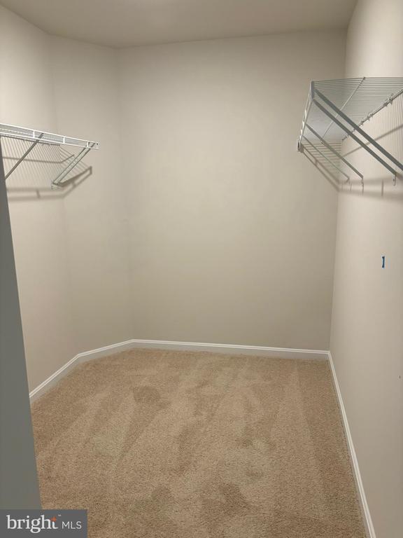 Building Photo - 117 Tigney Dr