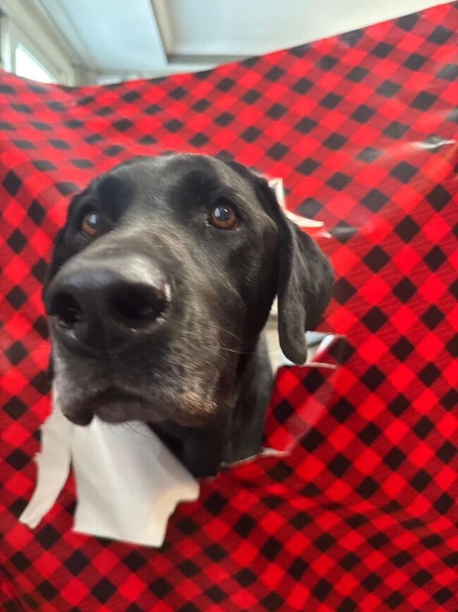 Building Photo - Congratulations! You just unwrapped free application fees until Friday!