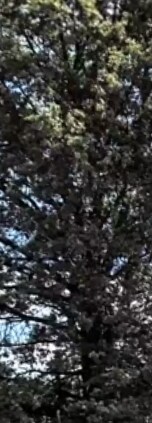 Building Photo - 327 Edgewood Rd