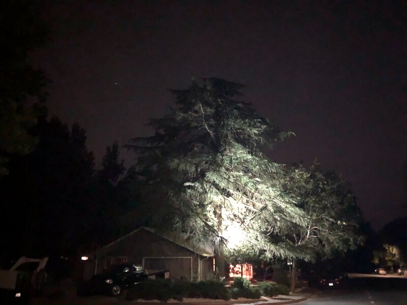 Building Photo - 906 Sycamore Ln