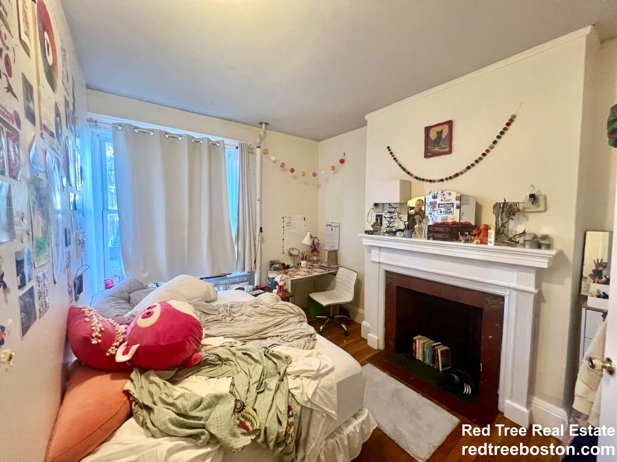 Building Photo - 62 Egmont St