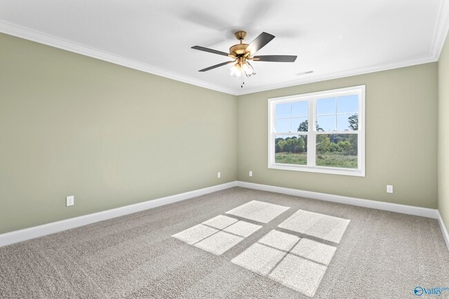 Building Photo - 243 Susan Lynn Dr