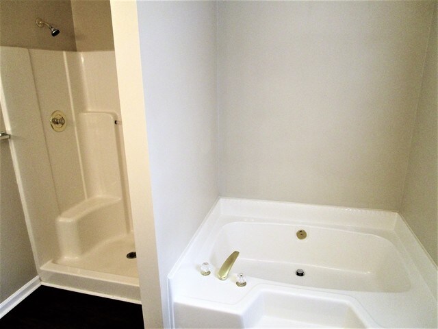 Building Photo - 4107 Springridge Ct