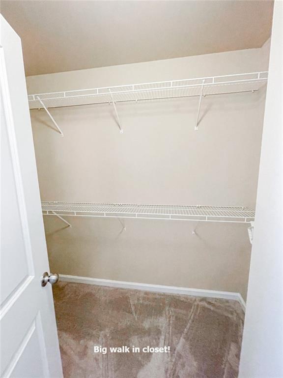 Building Photo - 328 Privet Cir