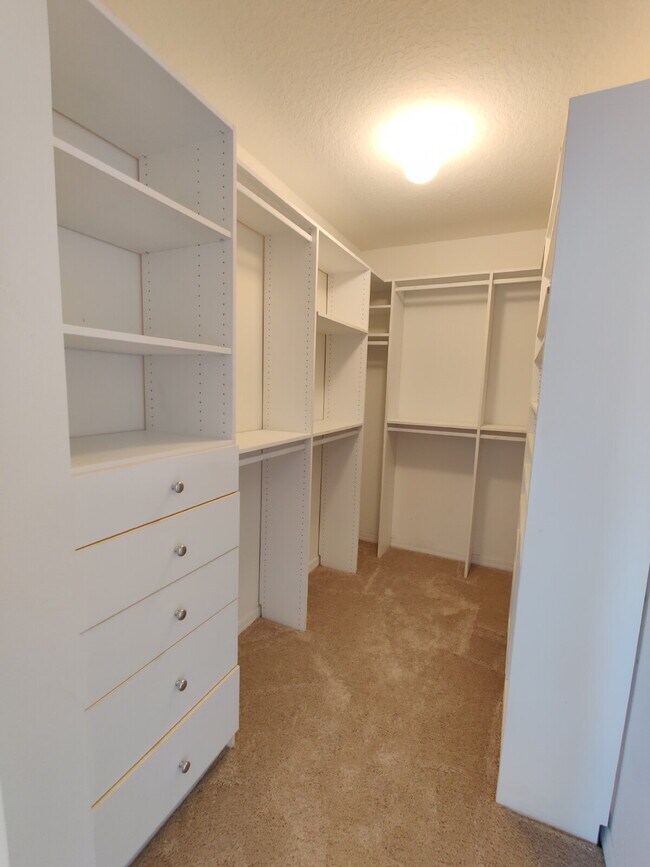 Building Photo - 1603 Ladywell Ct