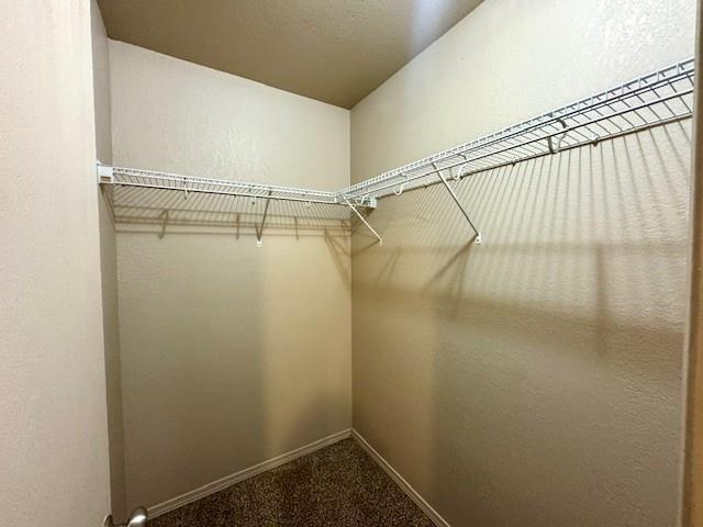 Building Photo - 3603 Vanguard Dr