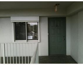 Building Photo - 2334 S Cypress Bend Dr
