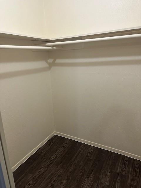 Building Photo - 2813 Parker Ln