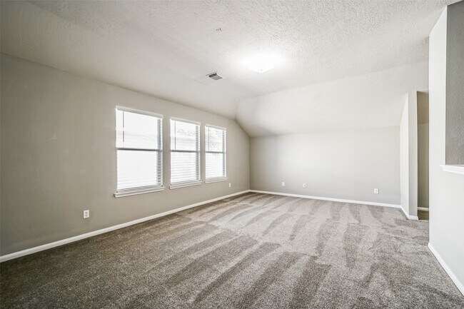 Building Photo - 4822 Mosaic Canyon Ct
