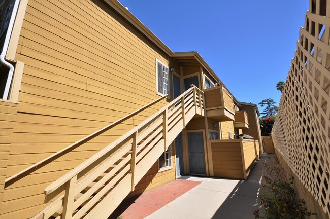 Primary Photo - 12142-50