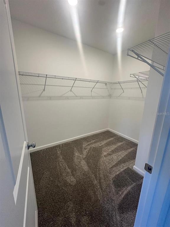 Building Photo - 2772 Pierr St