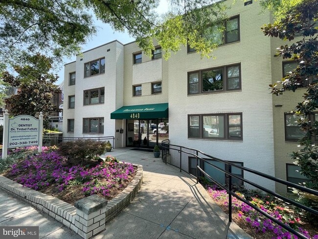 Building Photo - 4840 MacArthur Blvd NW