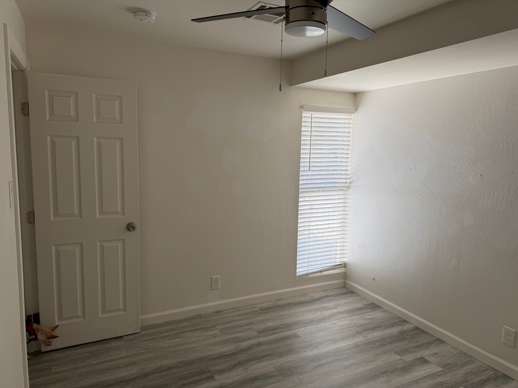 Bedroom 2 - 7919 E Kimsey Ln