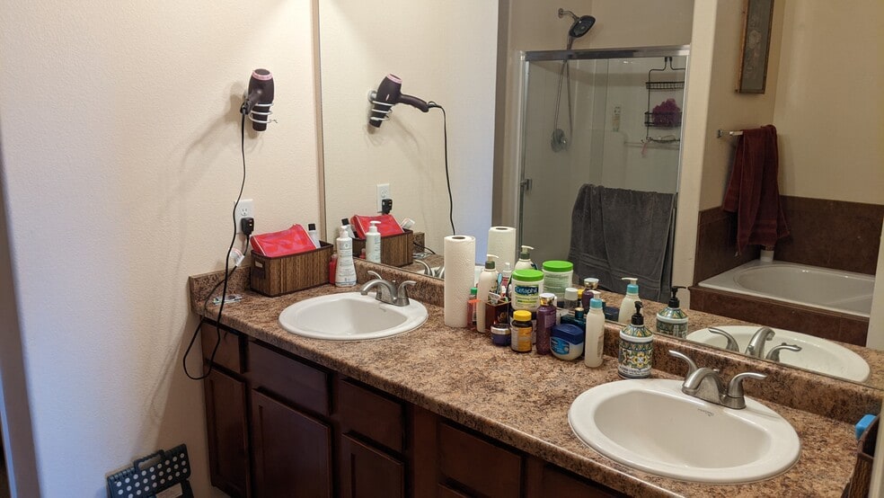 Master Bath sink - 5063 Buchanan Dr