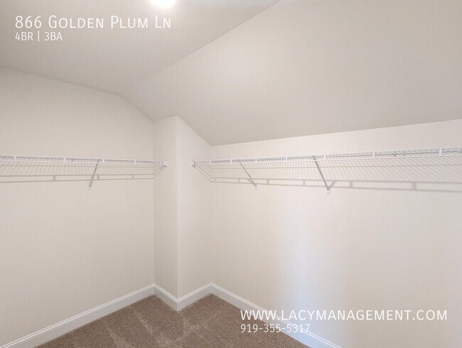 Building Photo - 866 Golden Plum Ln