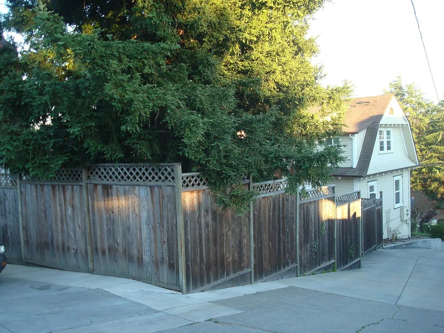 Building Photo - 208 Bodega Ave