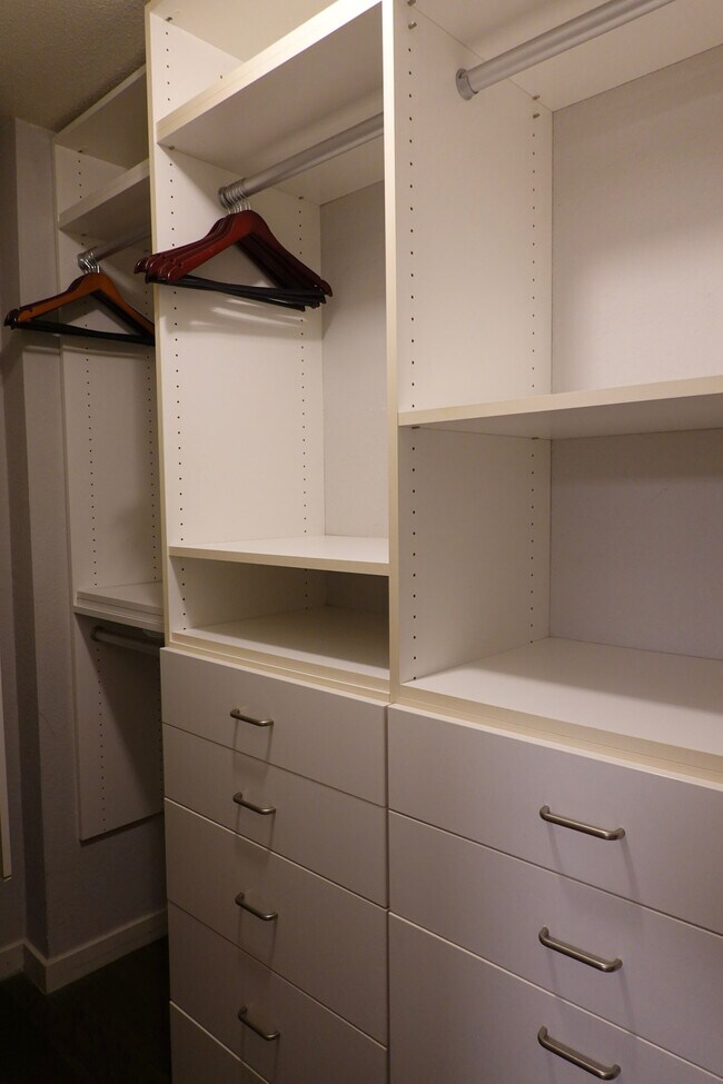 Walk-in Closet - 141 S Clark Dr