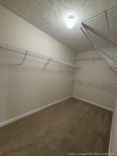 Building Photo - 460 Bristlecone Dr