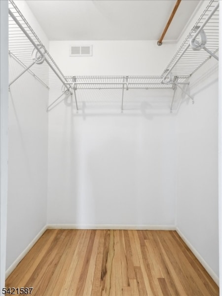 Building Photo - 115 Pitney Pl