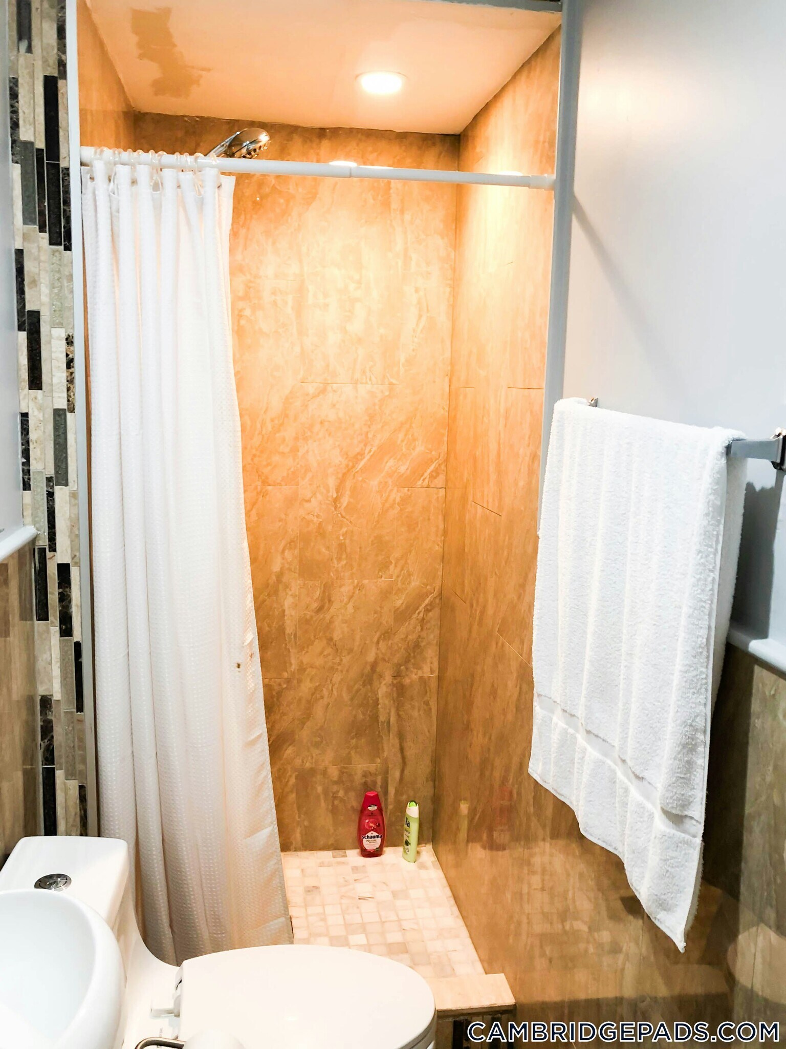 Building Photo - 7 Story St