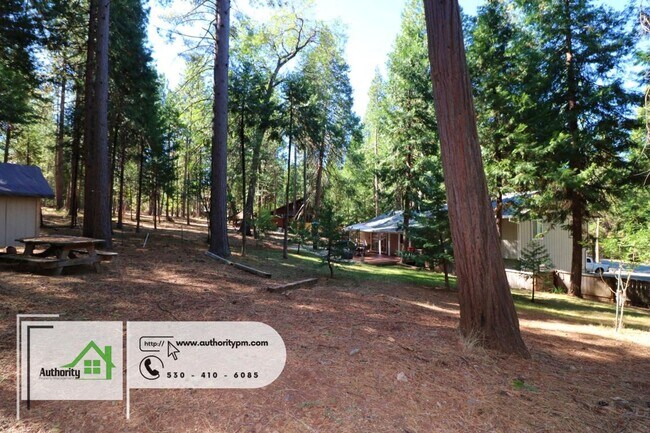 Building Photo - 30593 Sleepy Hollow Dr. Shingletown, Wood ...