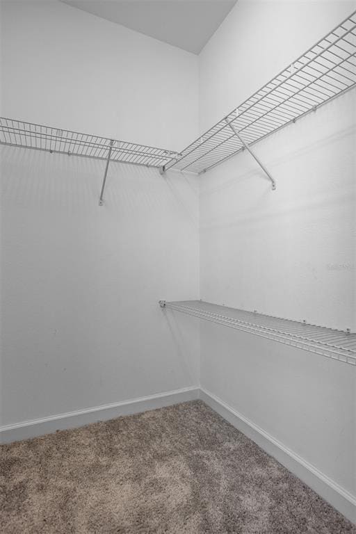 Building Photo - 11715 Navajo Sandstone St