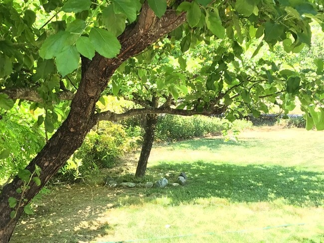 Building Photo - Completely Renovated in 2012; adorable energy-efficient Country home w/ Guest House on 1 mostly l...