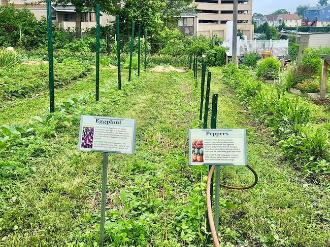 Building Photo - 31 Fairgate Dr