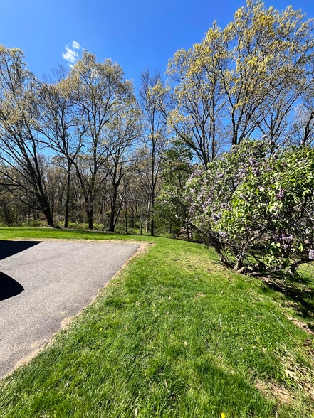 Wooded Backyard - 467 Tunnel Rd