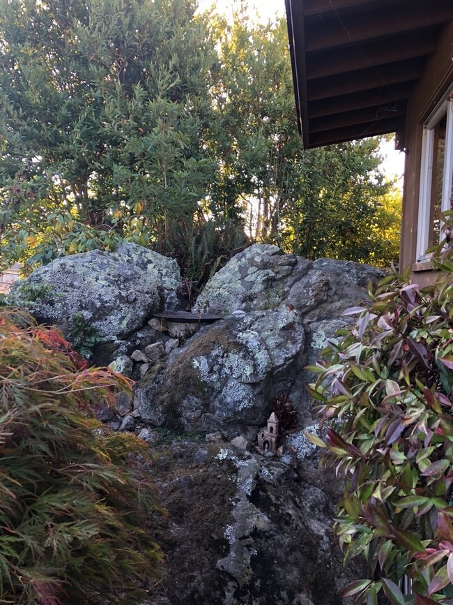 Building Photo - Lovely 3/2 home in the hills of El Cerrito with breathtaking views of the bay!