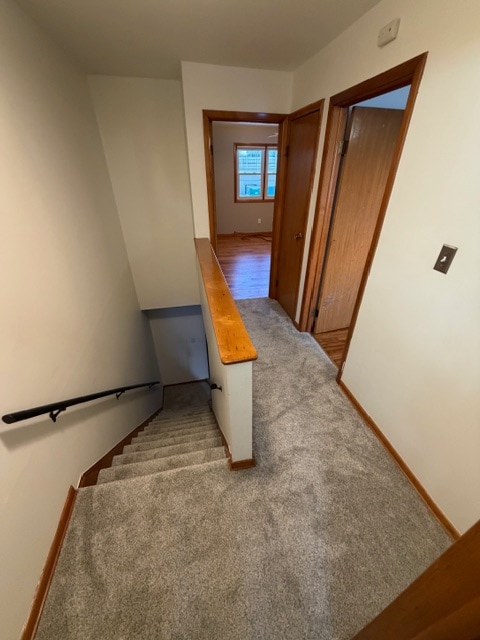 Building Photo - 3420 Plum St