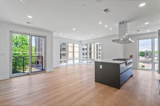 Kitchen-Living Area - Le Glebe