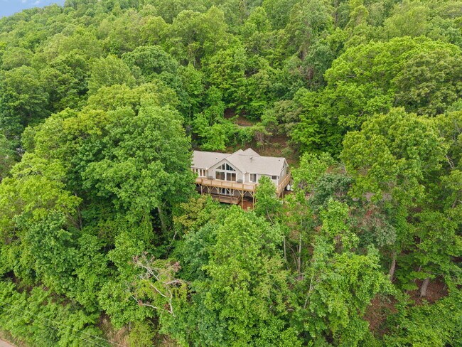 Building Photo - Asheville Mountain Home with Biltmore Views | 3BR + Office & Expansive Scenic Deck