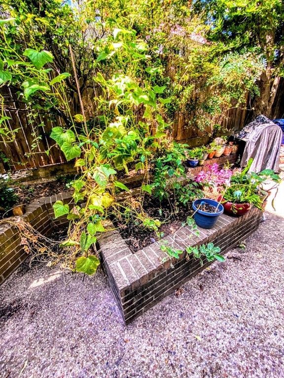 Building Photo - 1808 Rio Grande St