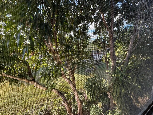 Building Photo - 12009 Poinciana Blvd