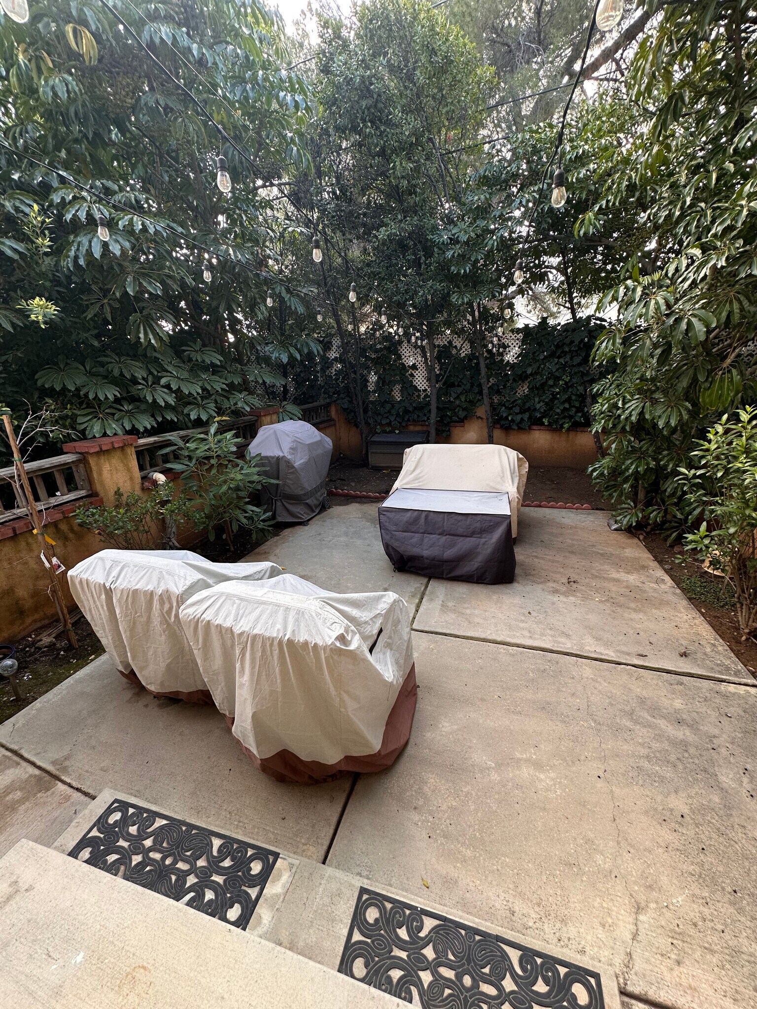 Back Yard/ Patio - 1927 Fremont Ave