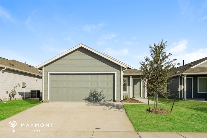 Primary Photo - 3036 Burmese St