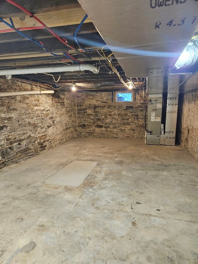 basement - 223 E 10th St
