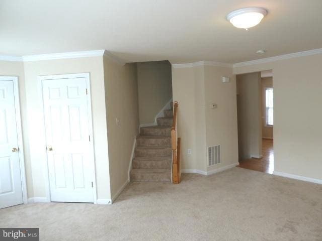 Building Photo - 73 Eldon Dr