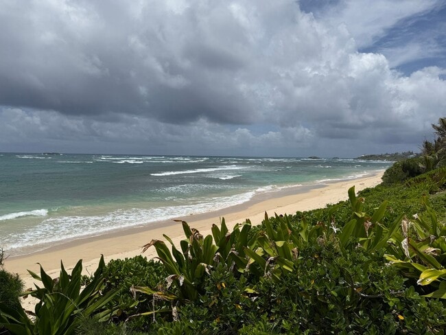 Building Photo - May to October ocean front 2/2 rental