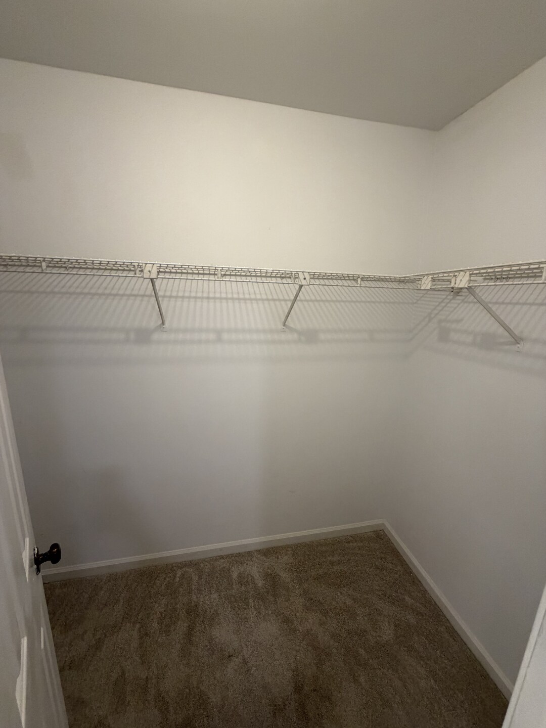 Building Photo - 3155 Cape Cir