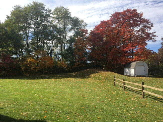 Backyard View - 4325 Chelten Ave