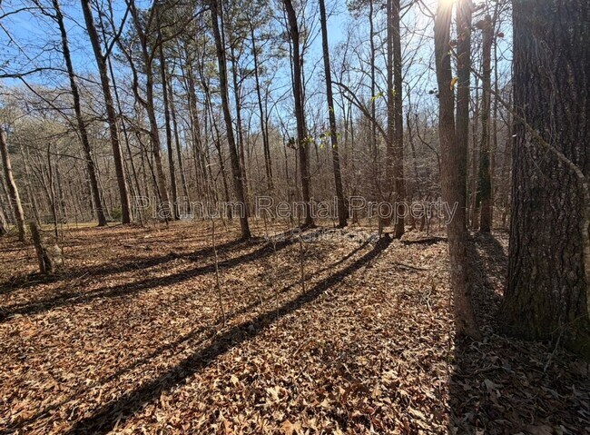 Building Photo - 240 Carter Rd