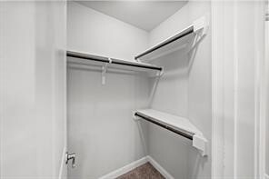 Building Photo - 5026 Lacebark Pne Trl