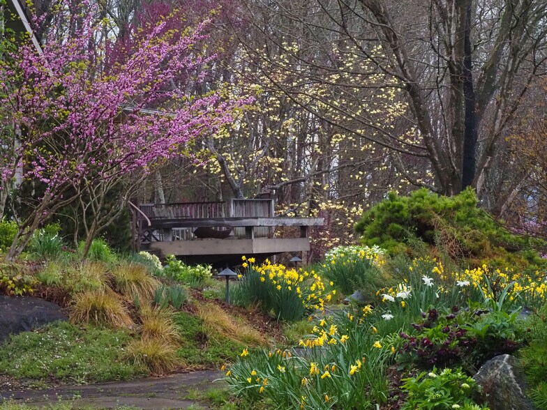 Building Photo - 100 Crab Apple Ln