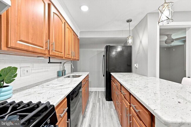 Building Photo - 105 Fronefield Ave