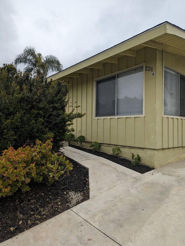 Entrance off Driveway - 221 W Avenida Palizada